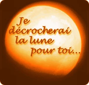 * pour toi  mon prince *